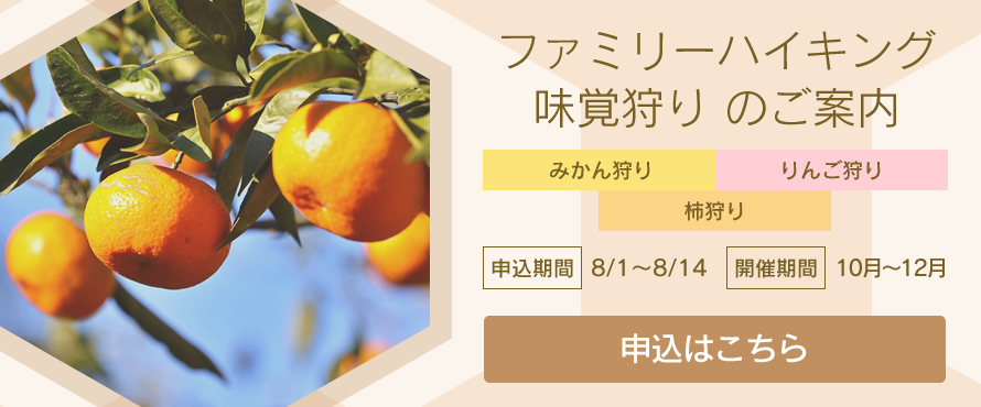 ファミリーハイキング 味覚狩り のご案内