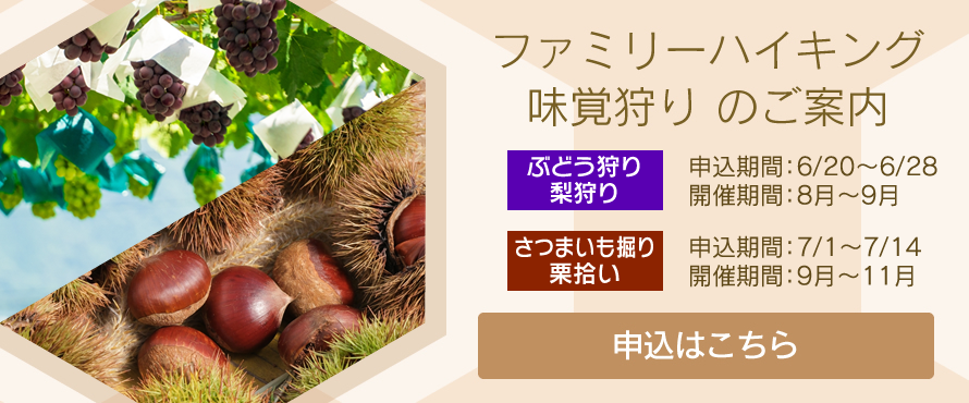 ファミリーハイキング 味覚狩り のご案内